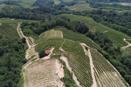 "Gattinara" il Nebbiolo vulcanico!